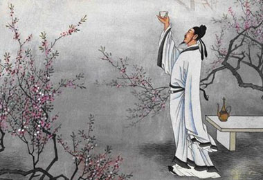 酱香白酒文化宣传